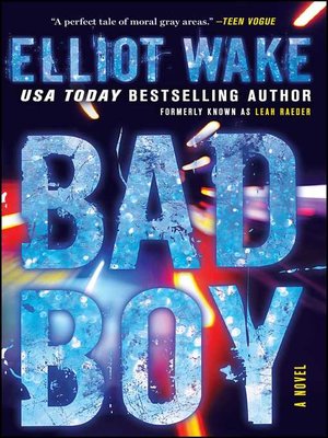 cover image of Bad Boy